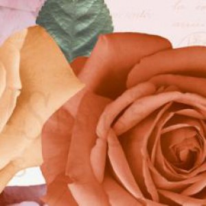 Gạch ốp tường Trường Thịnh INDIAN STONE 25751-HL-C1